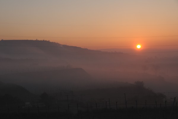 Weingut Rosenberger