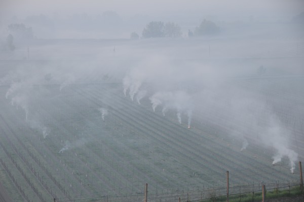 Weingut Rosenberger