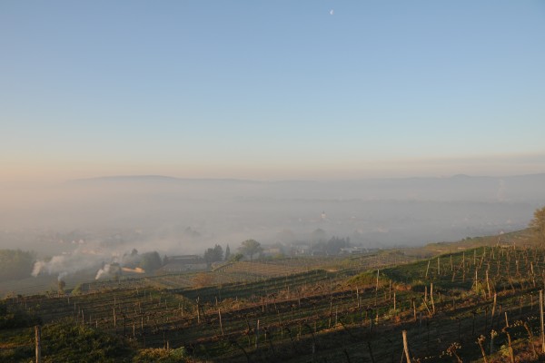 Weingut Rosenberger